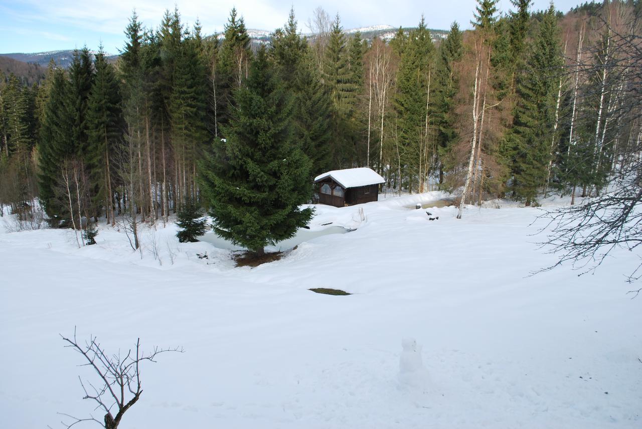 Ferienhaus "Lisa'S Haeusl" Neuschönau Dış mekan fotoğraf