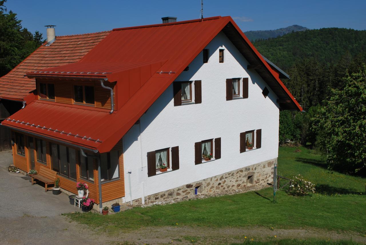 Ferienhaus "Lisa'S Haeusl" Neuschönau Dış mekan fotoğraf