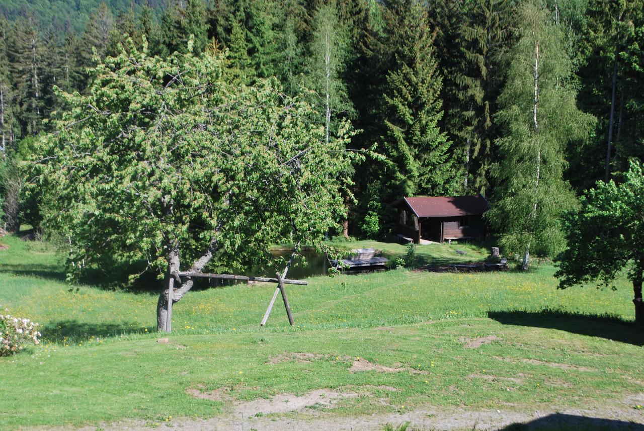 Ferienhaus "Lisa'S Haeusl" Neuschönau Dış mekan fotoğraf